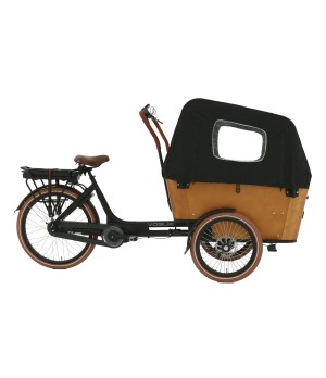 Triporteur Carry 3