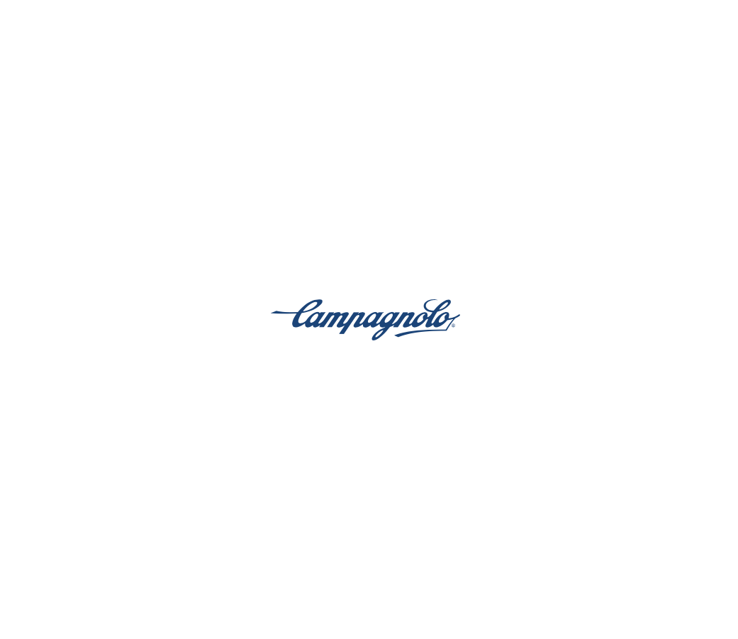 campagnolo